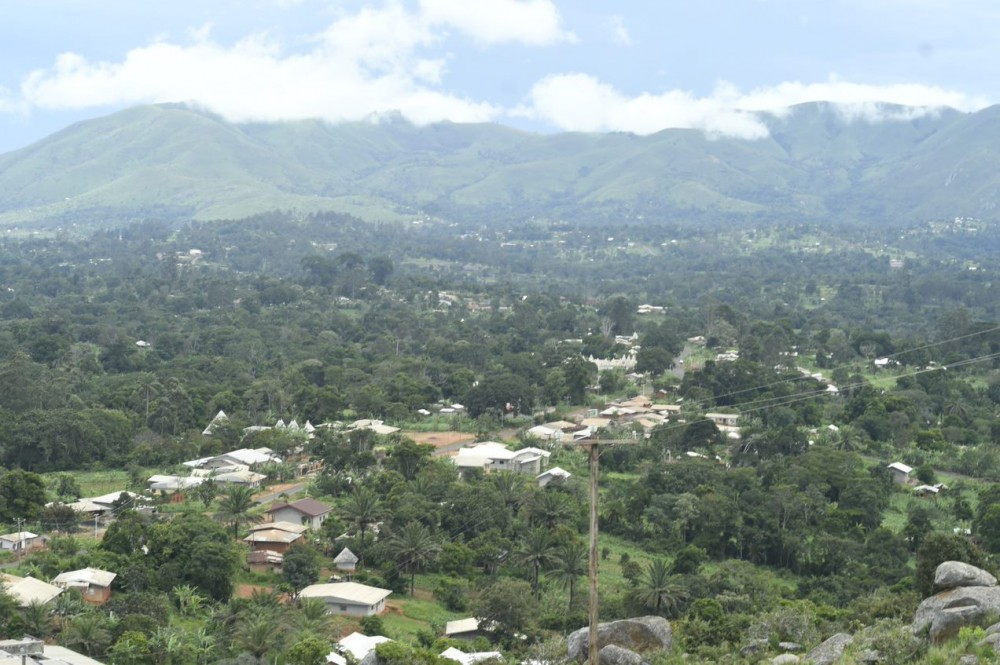 Cameroun/ Protection durable des paysages forestiers de l’Ouest-Cameroun : Rainforest Alliance et ses partenaires favorables à la mise en place des zones d’aménagement prioritaire (ZAP)